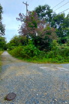 �O����~�ˈ�w ���n 3078���~