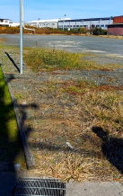 関西線加佐登駅 売地 1400万円 関西線加佐登駅 売地 1400万円