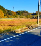 関西線関 売地 28663万円 関西線関 売地 28663万円